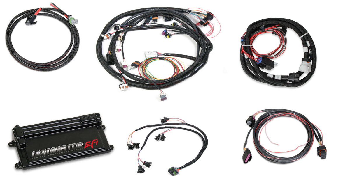 DOMINATOR EFI KIT