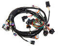 FUEL INJECTION WIRE HARNESS