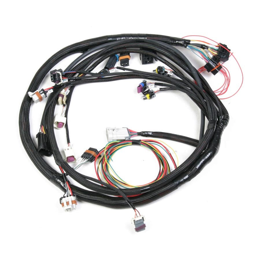 FUEL INJECTION WIRE HARNESS