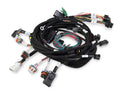 MAIN HARNESS