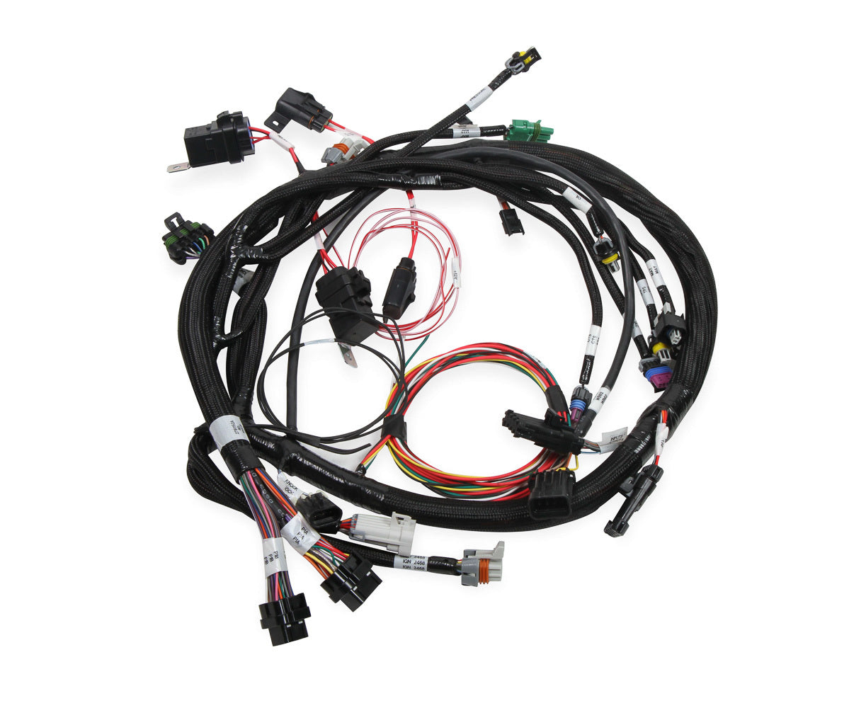 MAIN HARNESS UNIVERSAL W/ COP