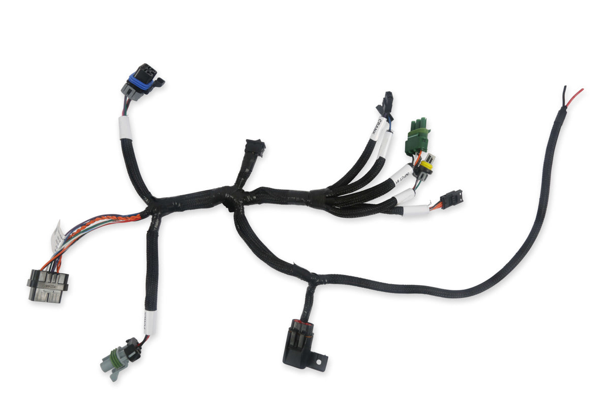 HOLLEY EFI BENCHTOP HARNESS
