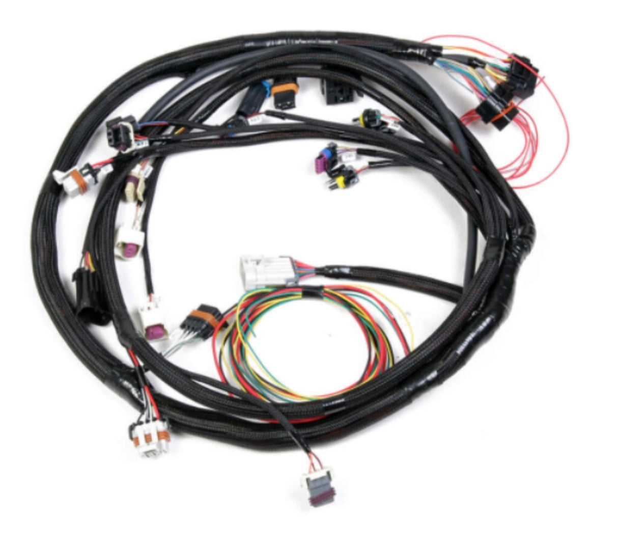 HARNESS FORD FOXBODY 5.0L