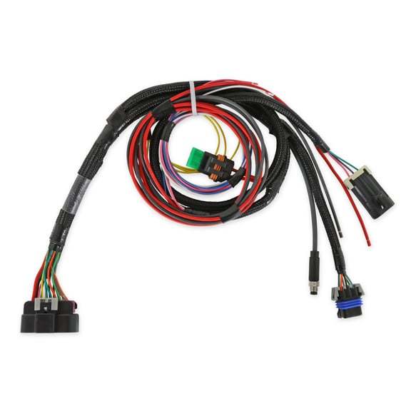 PDM MAIN HARNESS