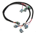 FUEL INJECTION WIRE HARNESS
