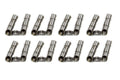 ROLLER LIFTERS