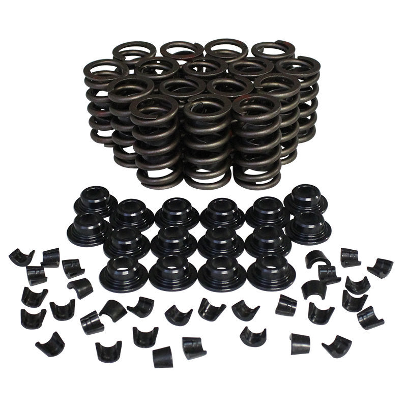 VALVE SPRING KIT