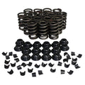 VALVE SPRING KIT