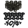 VALVE SPRING KIT