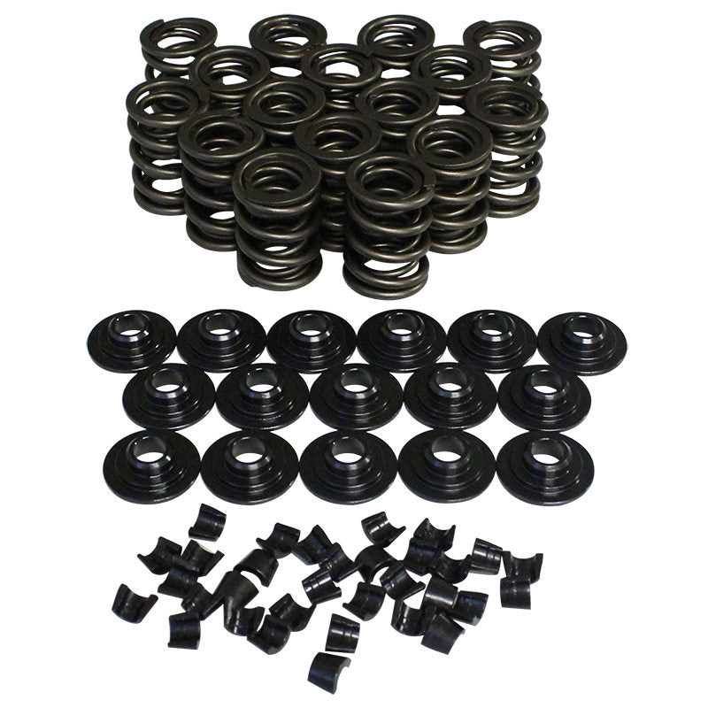 VALVE SPRING KIT