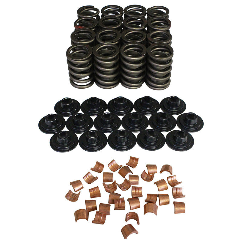 VALVE SPRING KIT