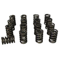 (VSS) VALVE SPRINGS