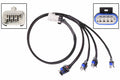 WIRING  COIL EXTENSION