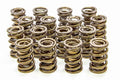 1.600 Valve Springs
