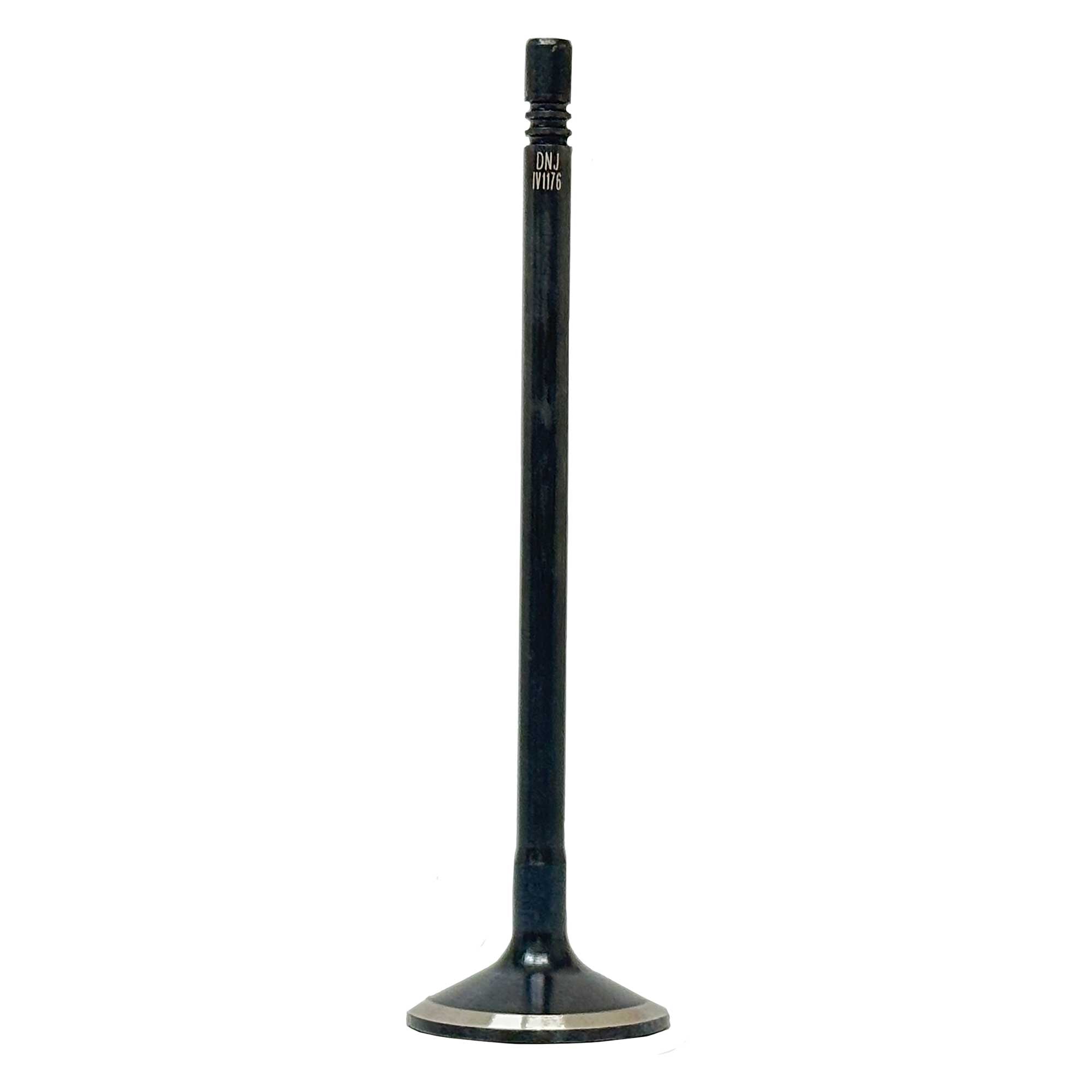 Intake Valve 2014-2018 Ram 3.0L
