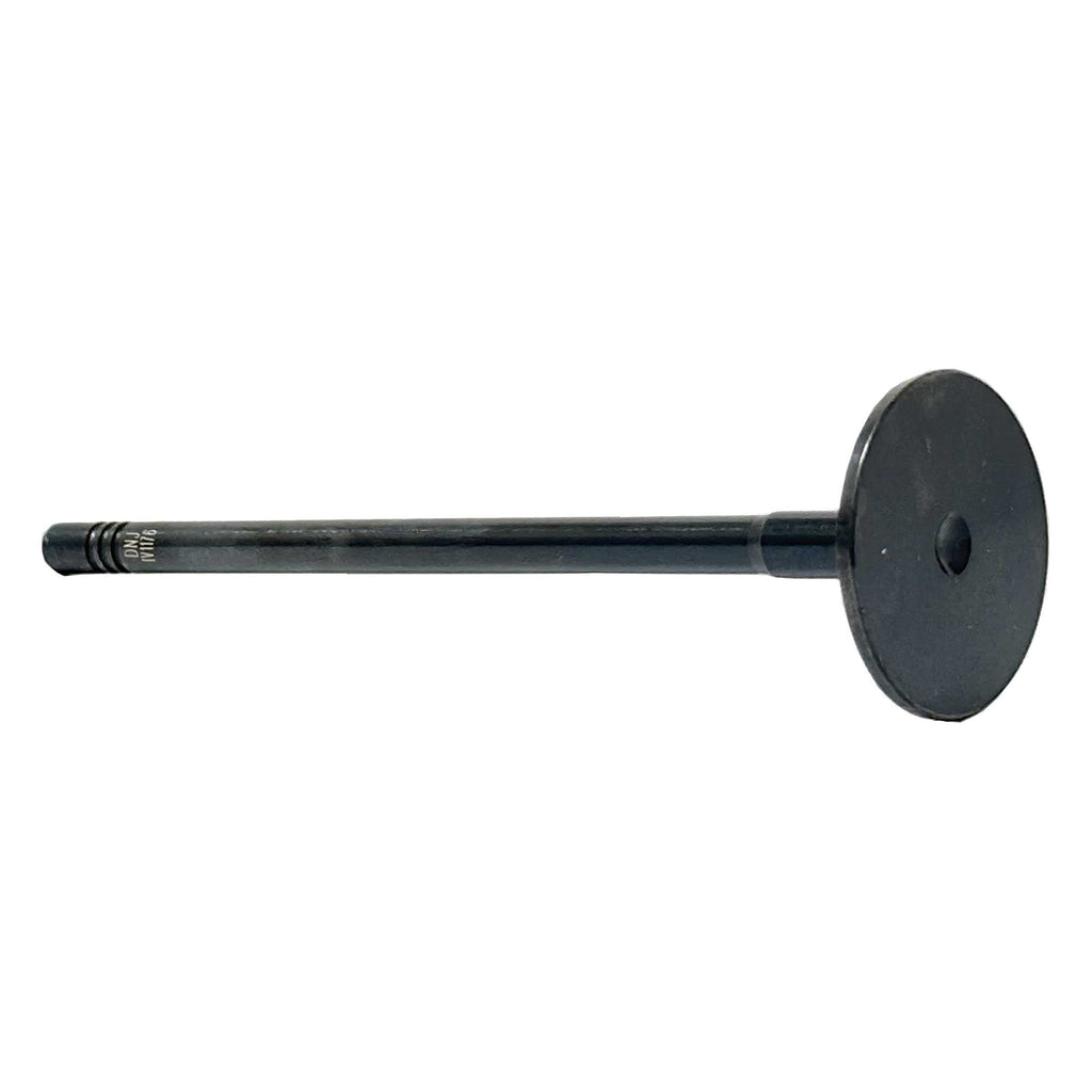 Intake Valve 2014-2018 Ram 3.0L