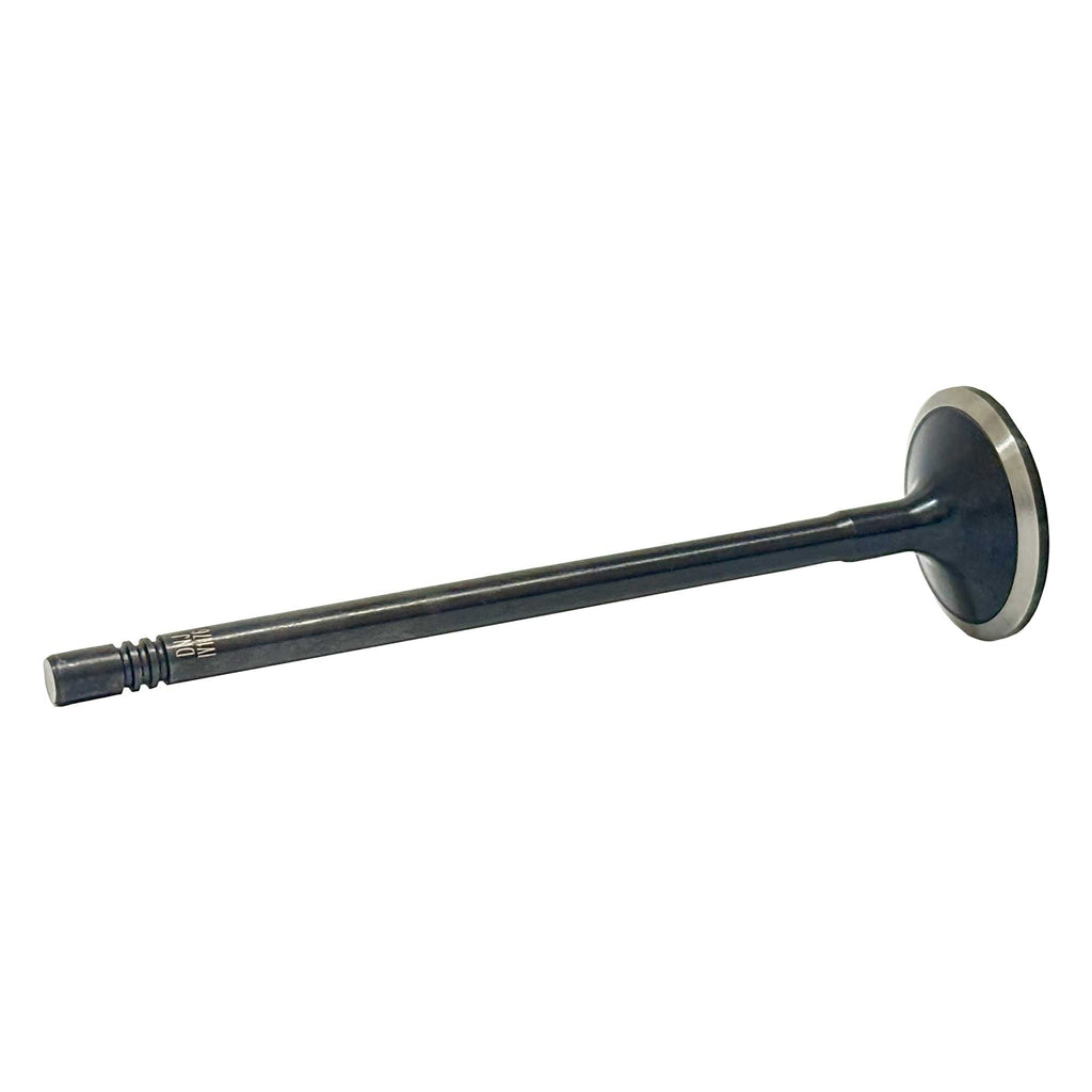 Intake Valve 2014-2018 Ram 3.0L
