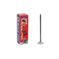 Intake Valve 2009-2016 Honda 1.5L