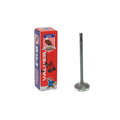 Intake Valve 2011-2021 Buick,Cadillac,Chevrolet 1.4L
