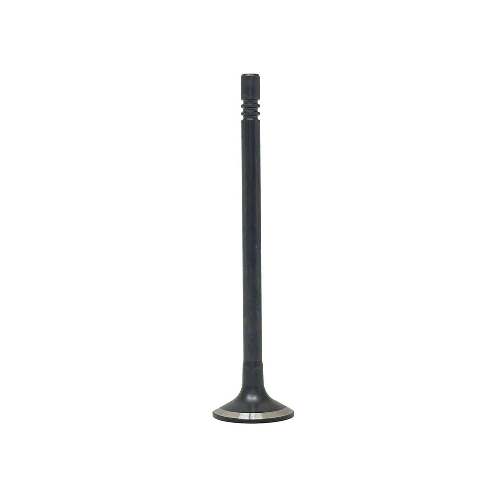 Intake Valve 2015-2017 Ford 3.2L