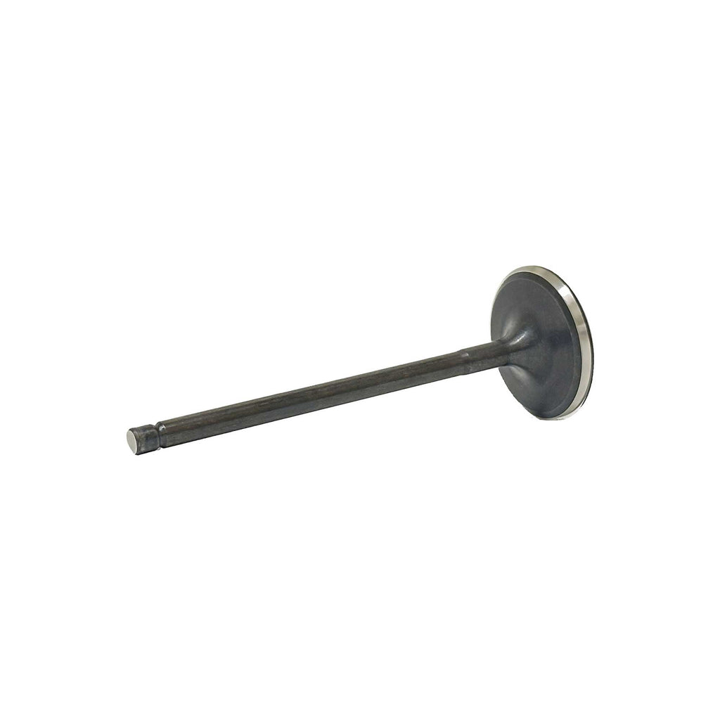 Intake Valve 2009-2017 Hyundai,Kia 4.6L-5.0L