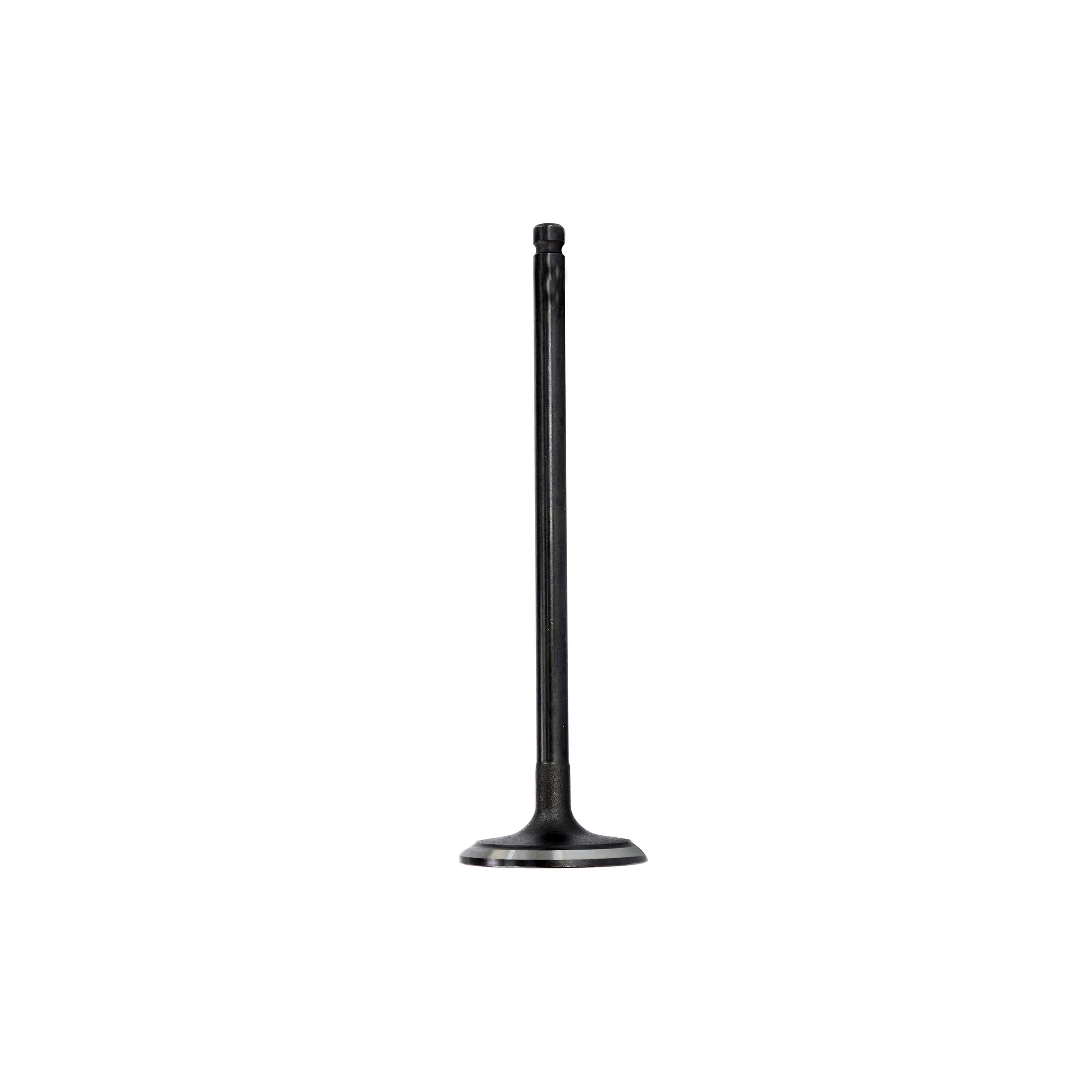 Intake Valve 2011-2017 Nissan 1.6L