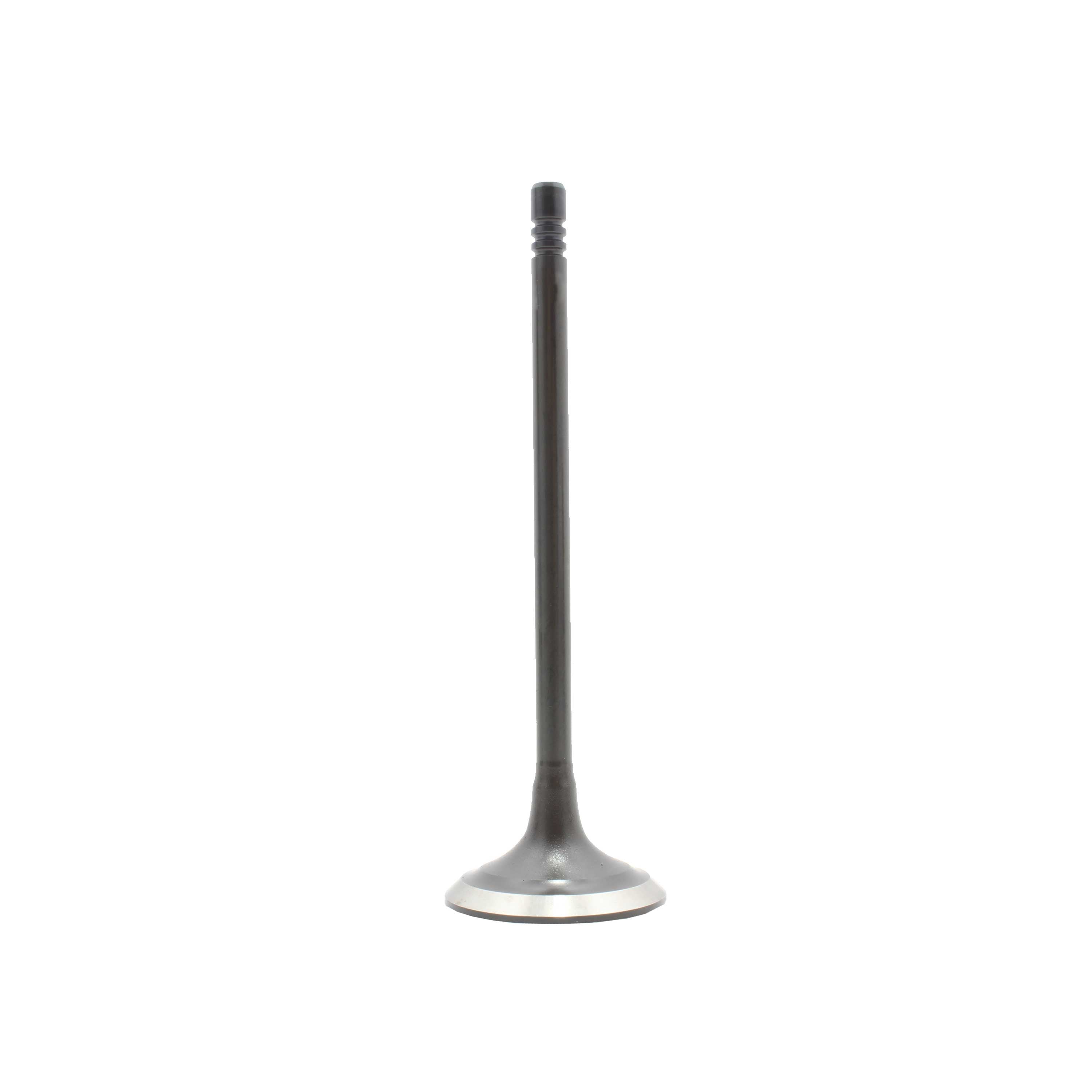 Intake Valve 2007-2016 Mini 1.6L
