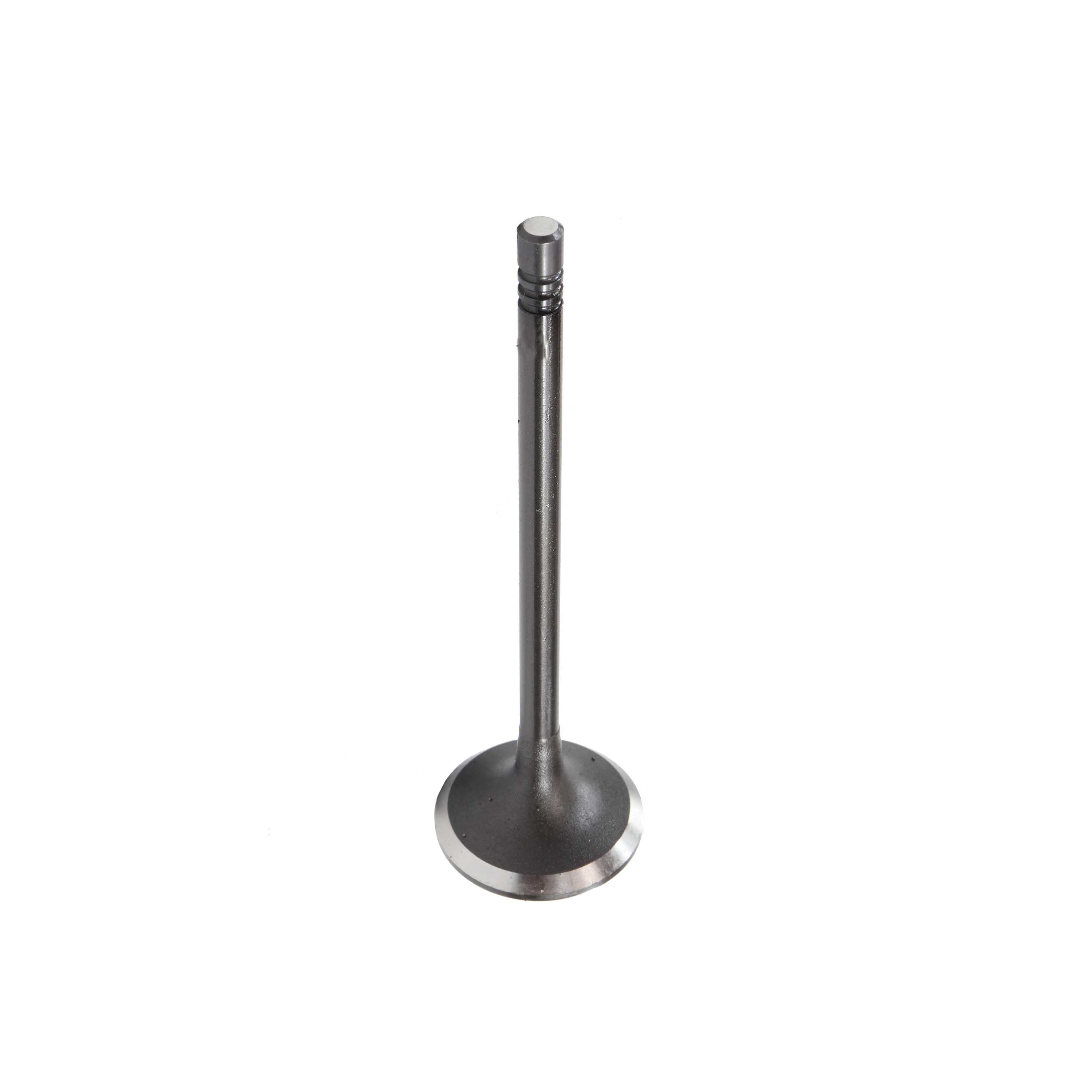 Intake Valve 2014-2015 BMW 2.0L-3.0L