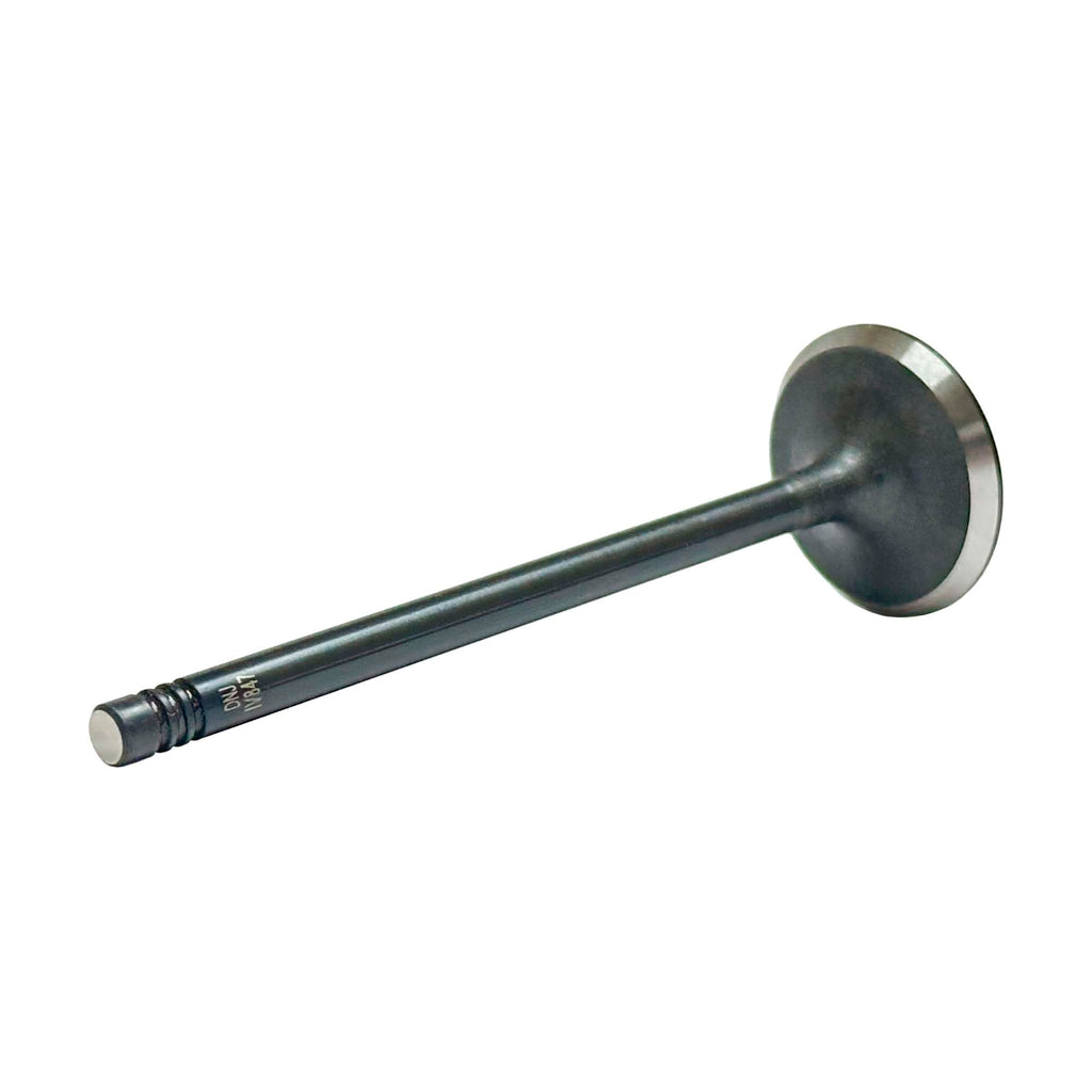 Intake Valve 2001-2006 BMW 2.5L-3.0L