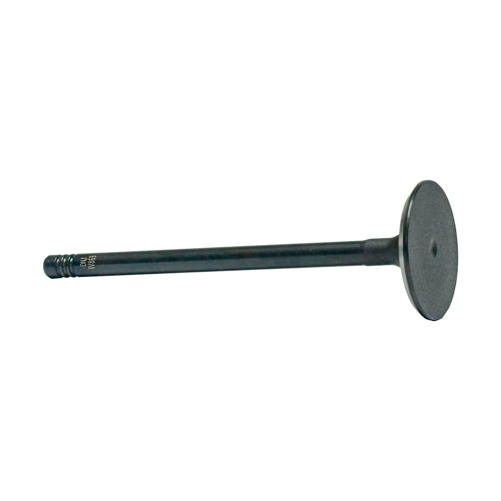 Intake Valve 1994-1995 BMW 3.0L