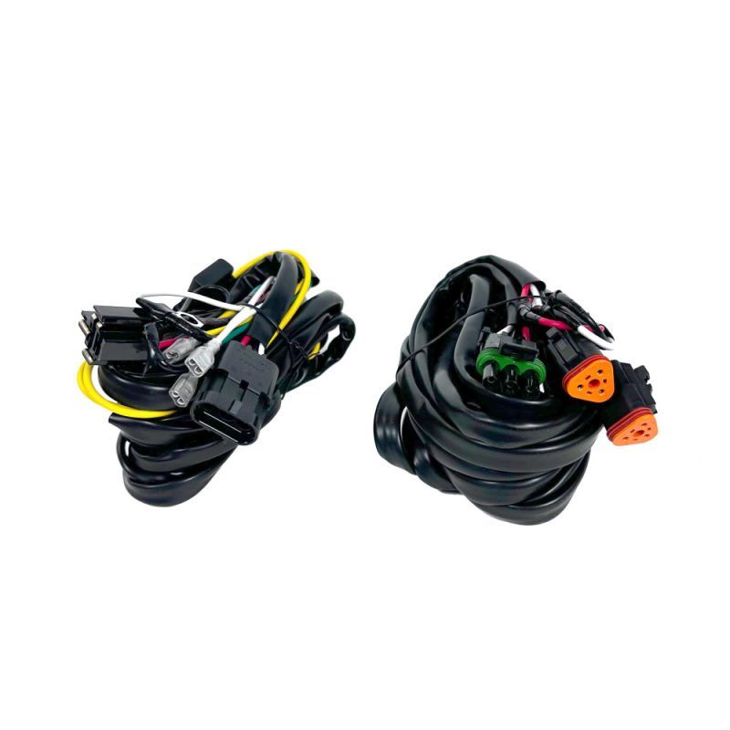WIRING HARNESS WITH SWITCH