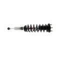 SHOCK AND STRUT ASSEMBLY