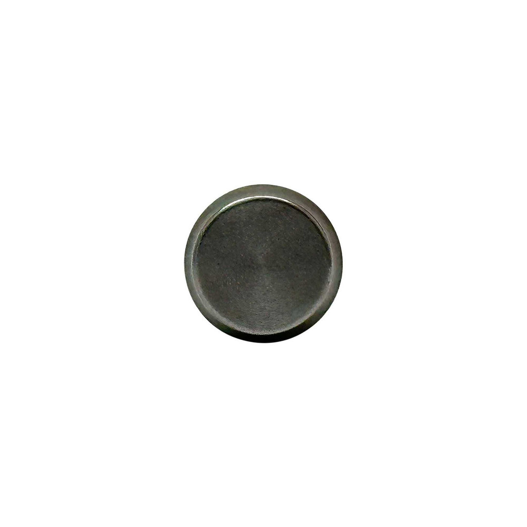 Valve Lifter 2002-2010 BMW 4.4L-4.8L