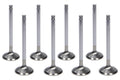 VALVE SET OF 8