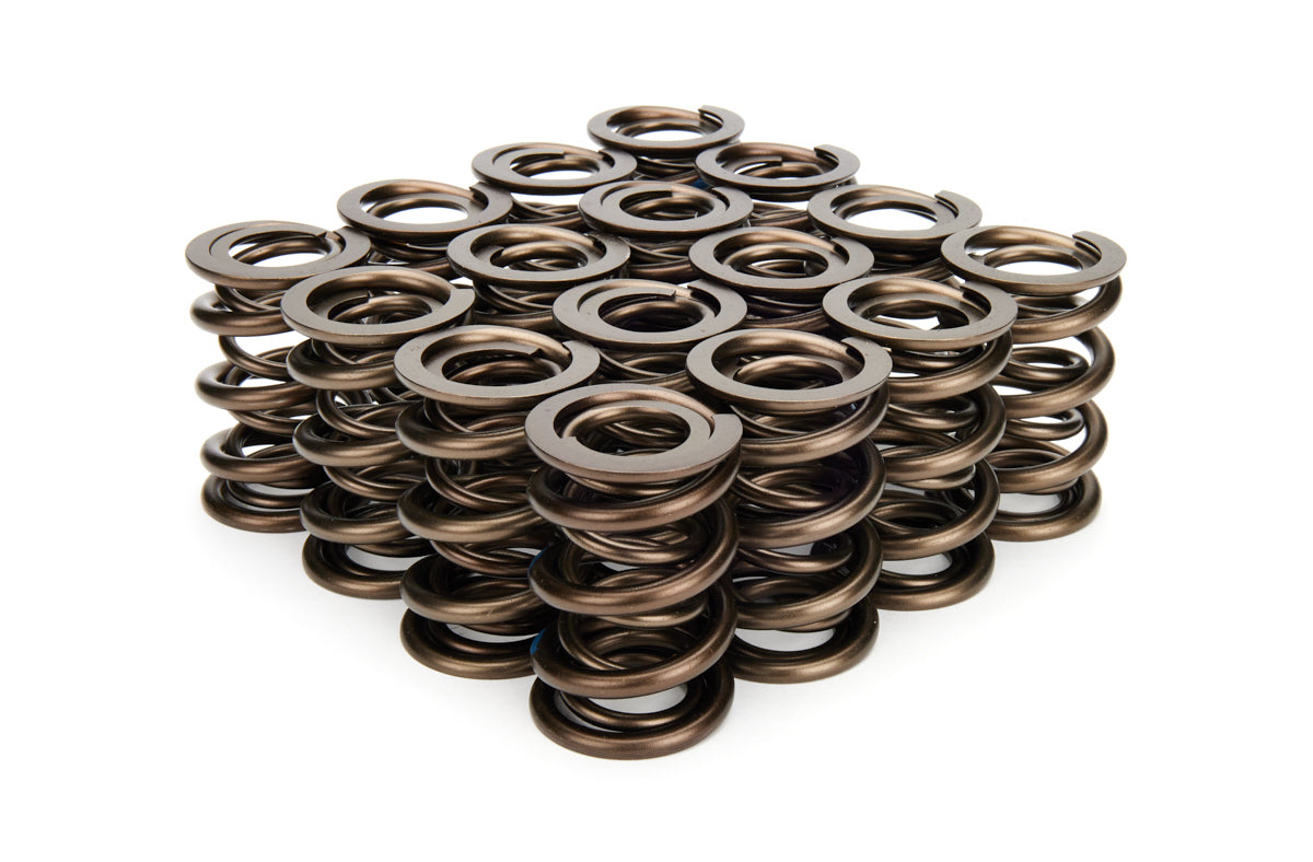 VALVE SPRING SET
