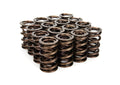 VALVE SPRING SET