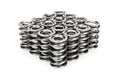 VALVE SPRING SET