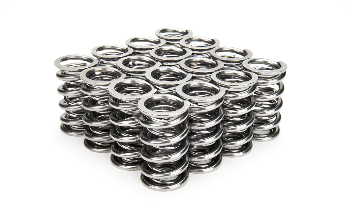 VALVE SPRING SET