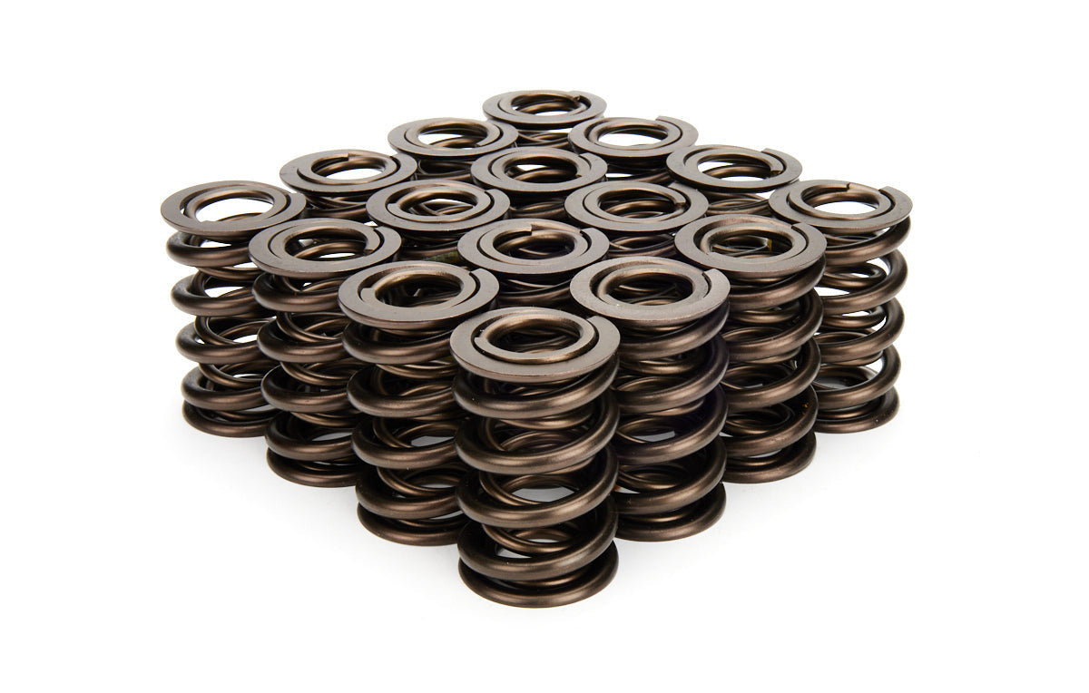 VALVE SPRING SET