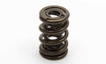 VALVE SPRING SET