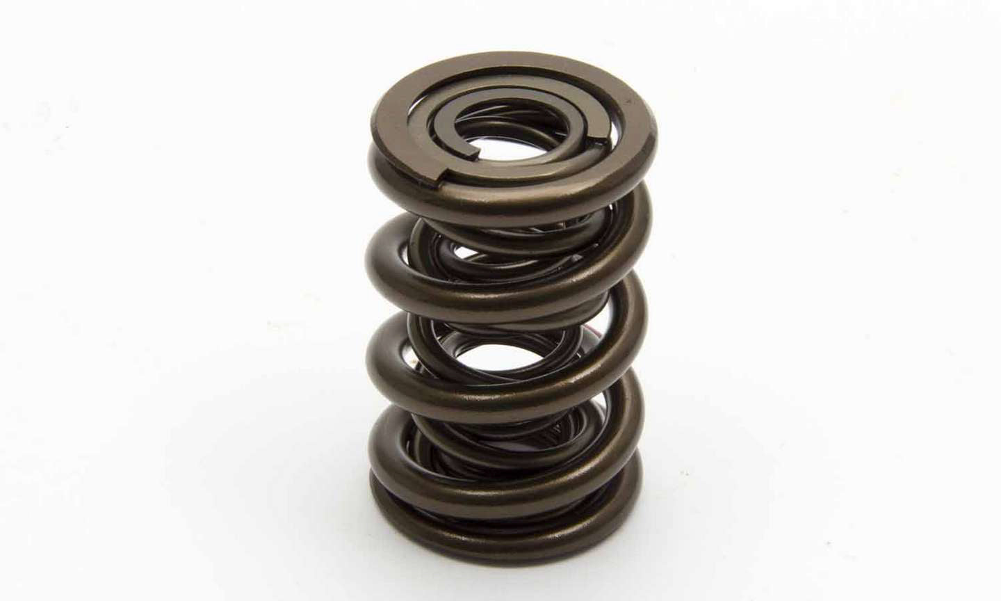 VALVE SPRING SET