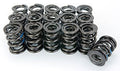VALVE SPRING SET