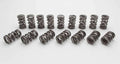 VALVE SPRINGS