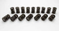VALVE SPRING SET