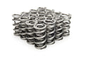 VALVE SPRING SET