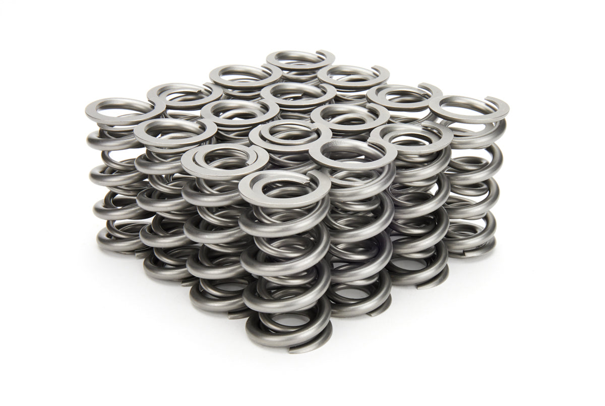 VALVE SPRING SET