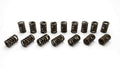 VALVE SPRINGS