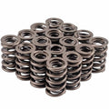 VALVE SPRING SET