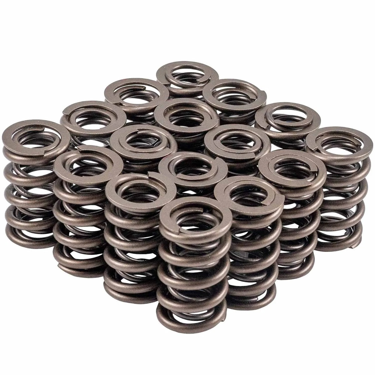 VALVE SPRING SET