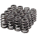 VALVE SPRING SET